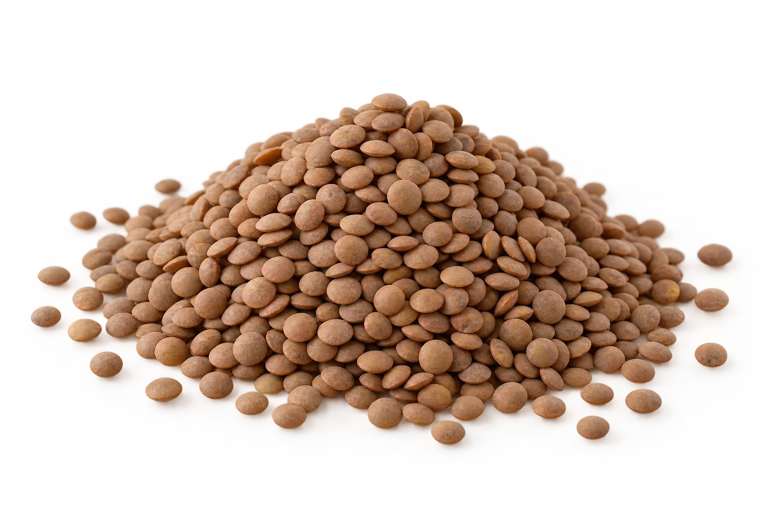 Brown lentils product shot